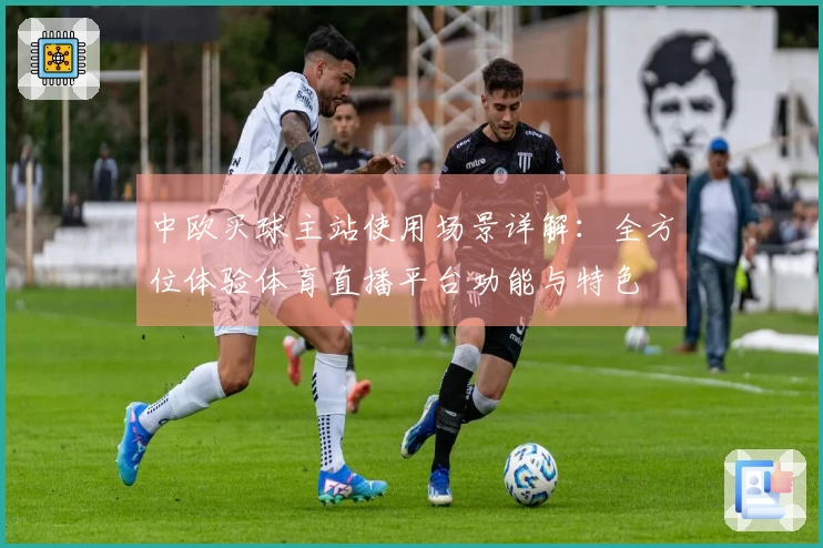 中欧买球主站使用场景详解：全方位体验体育直播平台功能与特色