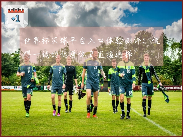 世界杯买球平台入口体验测评：值得一试的优质体育直播选择