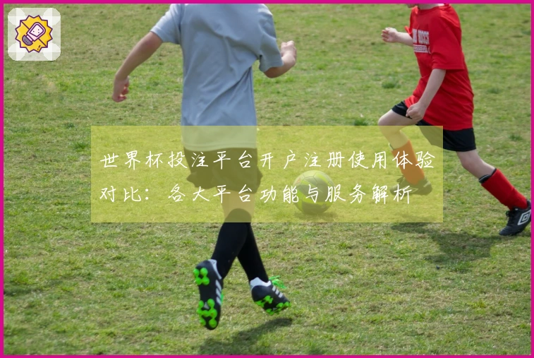 世界杯投注平台开户注册使用体验对比：各大平台功能与服务解析