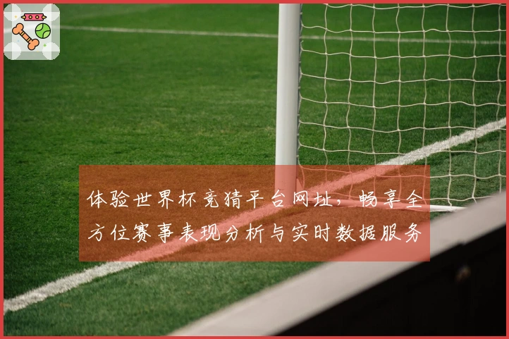 体验世界杯竞猜平台网址，畅享全方位赛事表现分析与实时数据服务