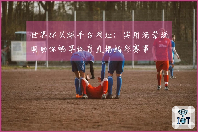 世界杯买球平台网址：实用场景说明助你畅享体育直播精彩赛事