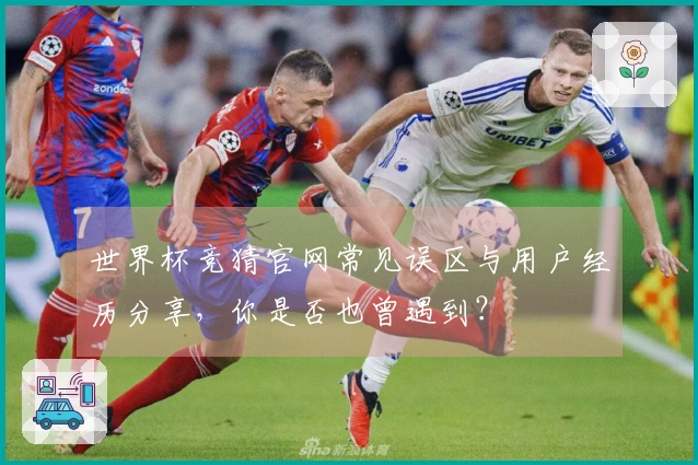 世界杯竞猜官网常见误区与用户经历分享，你是否也曾遇到？
