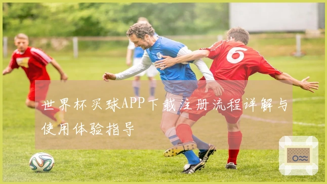 世界杯买球APP下载注册流程详解与使用体验指导
