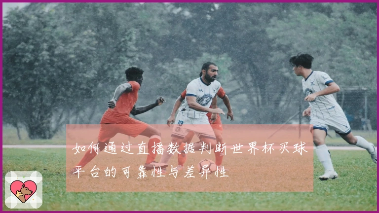 如何通过直播数据判断世界杯买球平台的可靠性与差异性