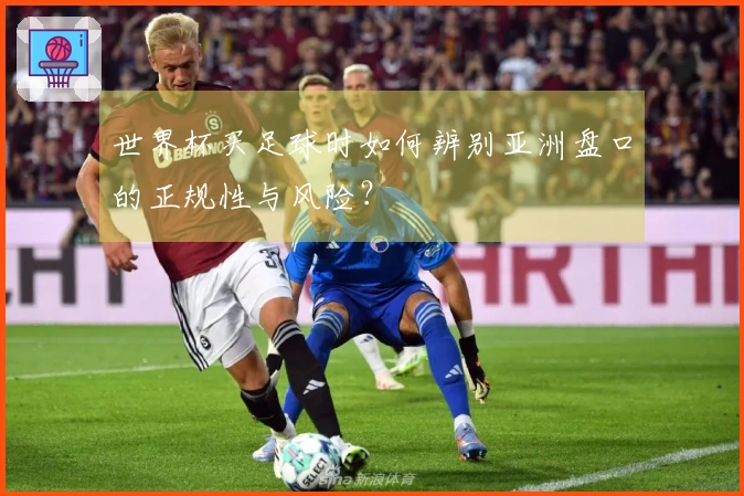 世界杯买足球时如何辨别亚洲盘口的正规性与风险?