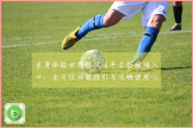 亲身体验世界杯投注平台移动端入口,全方位功能指引与流畅使用心得