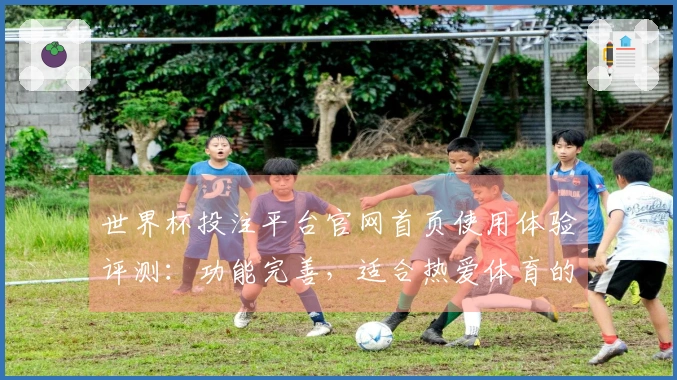 世界杯投注平台官网首页使用体验评测：功能完善，适合热爱体育的玩家