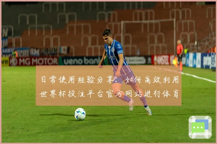 日常使用经验分享：如何高效利用世界杯投注平台官方网站进行体育直播观赛