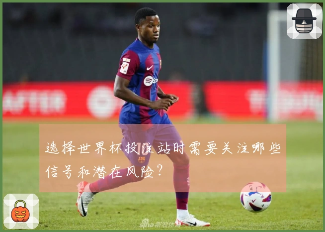 选择世界杯投注站时需要关注哪些信号和潜在风险？