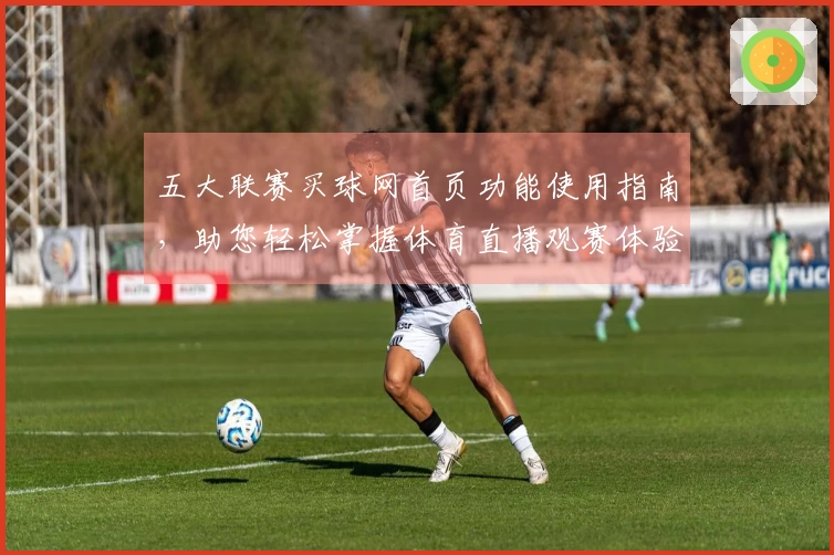 五大联赛买球网首页功能使用指南，助您轻松掌握体育直播观赛体验